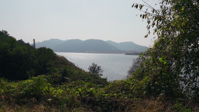 숲 속에서 보는 강가의 풍경