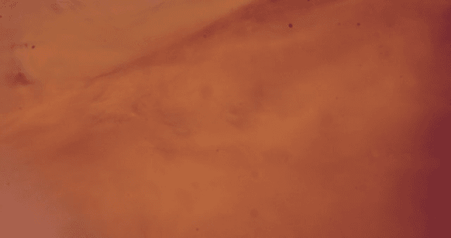 Abstract pattern of flowing orange