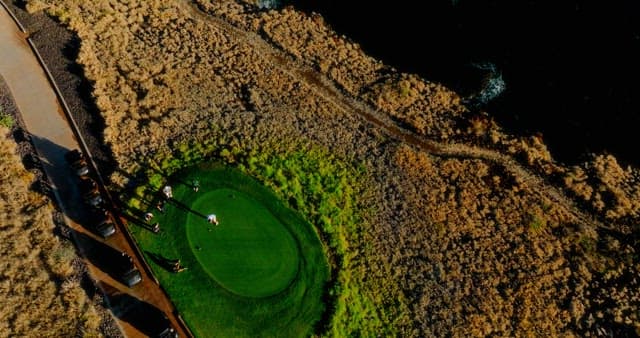 Golfers Enjoying a Game on Coastal Course