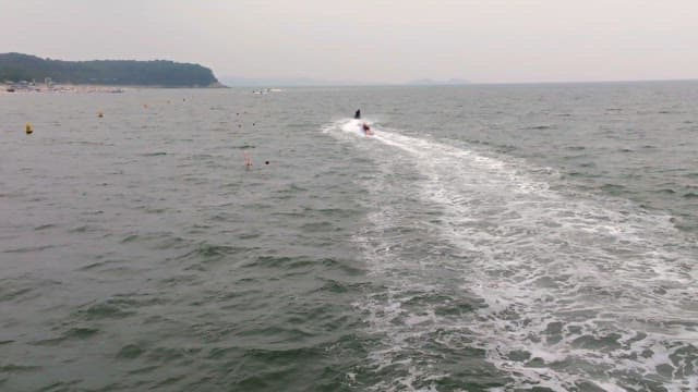 해변에서 수상 스포츠를 즐기는 사람들