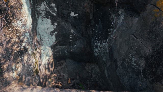 무성한 나무들로 둘러싸인 샘물터