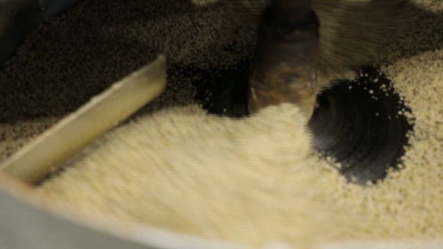 분류기에서 걸러지는 대마 종자