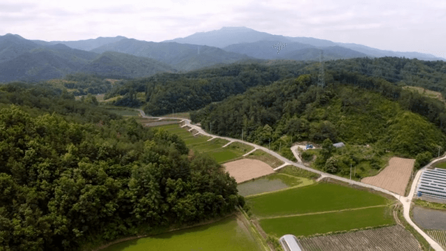 푸른 농지와 주변 언덕