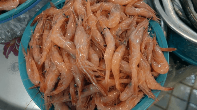 시장에 진열된 신선한 새우