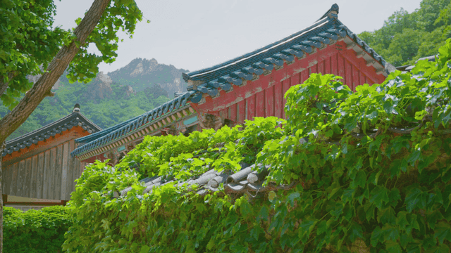 산을 배경으로 한 전통 한국 절