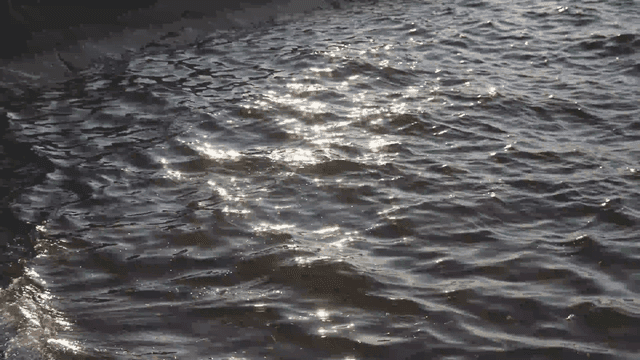 Sunlight reflecting on gentle waves