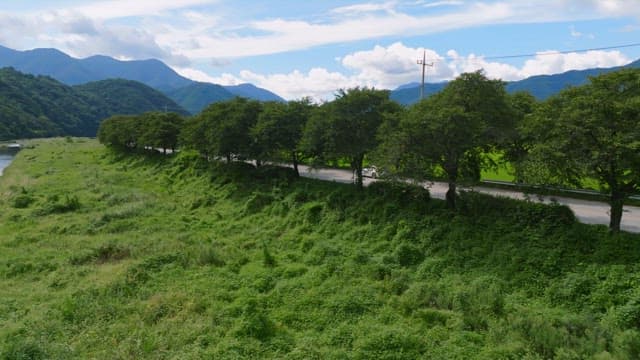 Aerial view of green fields and mountains