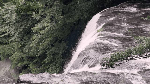 Serene waterfall in a lush forest