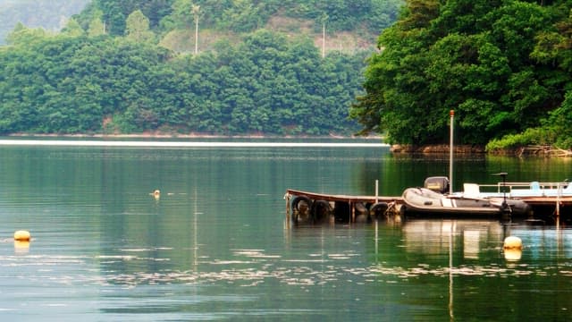 Serene lakeside dock amidst lush greenery