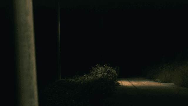 Back of person walking alone down dark road
