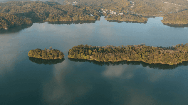 푸른 숲으로 둘러싸인 고요한 강