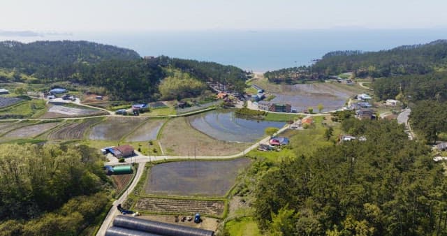 논과 밭이 있는 시골 마을
