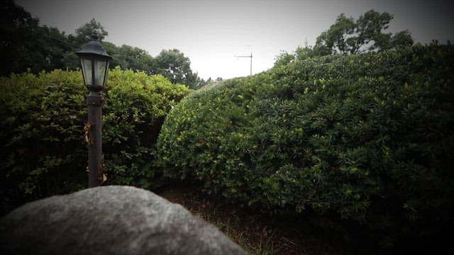 Freshly harvested green chives in a basket in a lush garden with a stone and lamp post nearby