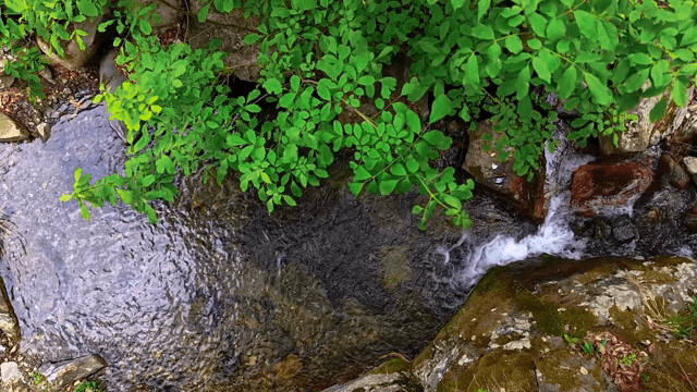 바위 위로 흐르는 시냇물