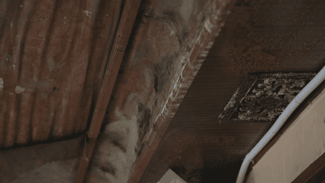 Close-up of a wooden ceiling with mold