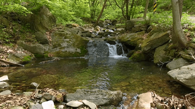 숲속 계곡의 작은 폭포