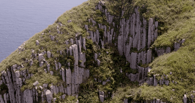 A rugged cliffside with lush greenery