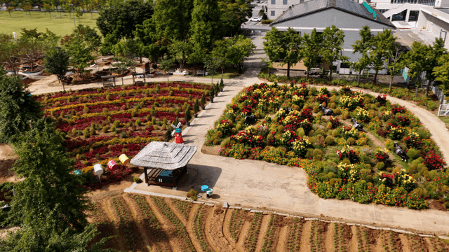 Garden view with vibrant flower fields and walking paths