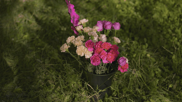 Colorful bouquet in field
