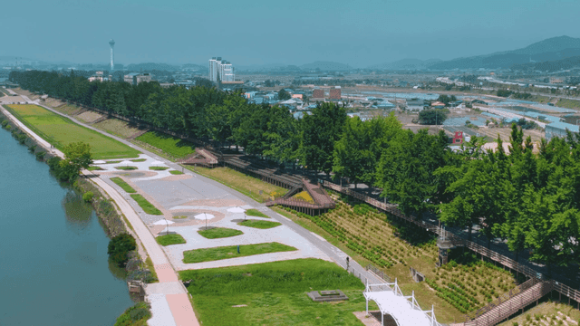 Riverside park with trees and grass