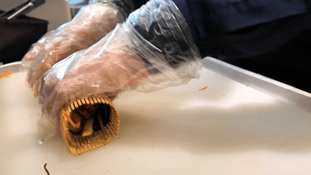 다양한 재료로 김밥 준비하기