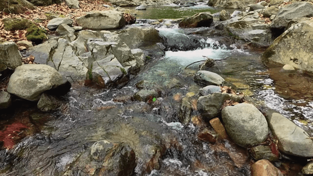 Flowing water over rocks in a stream