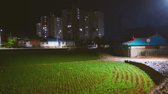 논밭이 있는 시골 지역의 야경