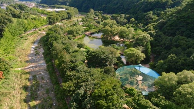 Lush green park with a flowing stream