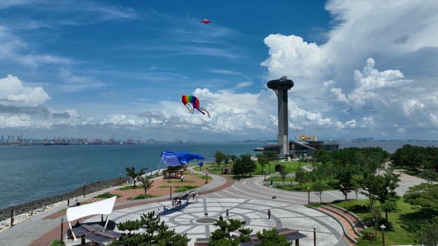 Kiteflying in a Coastal Park on a Sunny Day