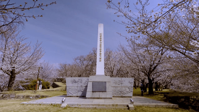 기념비 주변의 벚꽃