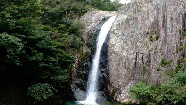 무성한 숲 사이로 흐르는 웅장한 폭포
