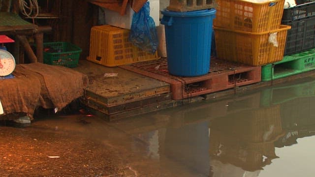 Traditional market with fresh seafood on display