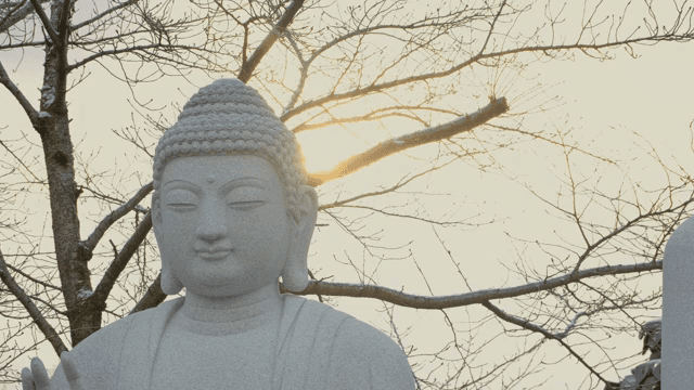 겨울 풍경 속의 고요한 부처상