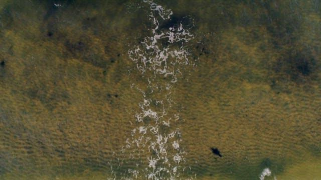 Ocean Waves from Above