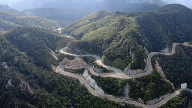 푸른 숲으로 둘러싸인 구불구불한 산길