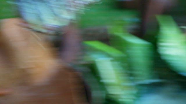 코코넛 밀크와 마니옥을 섞어 반죽 만들기