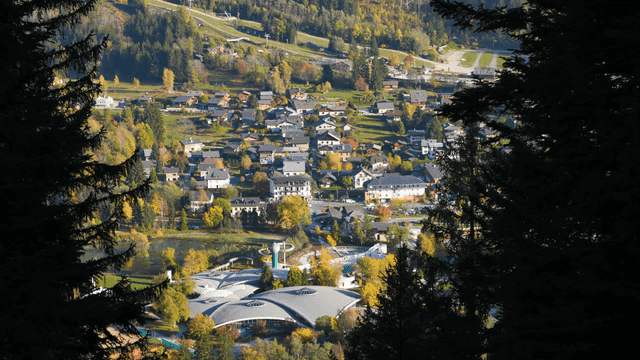 Picturesque European village surrounded by trees