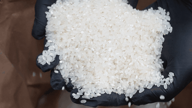 Hands holding white rice grains