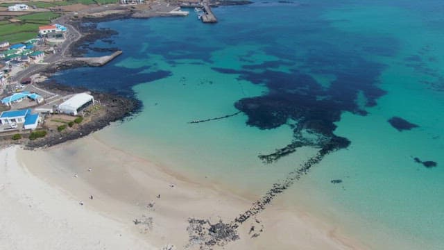 Scenic beach with clear blue waters