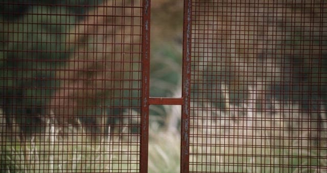 녹슨 울타리 사이로 보이는 황량한 자연