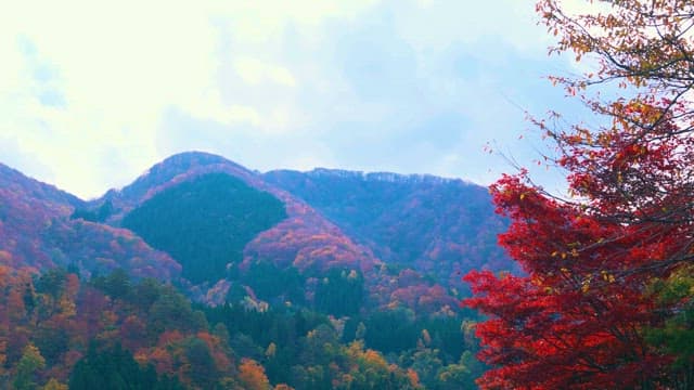 Houses under the Mountain with Fall Foliage