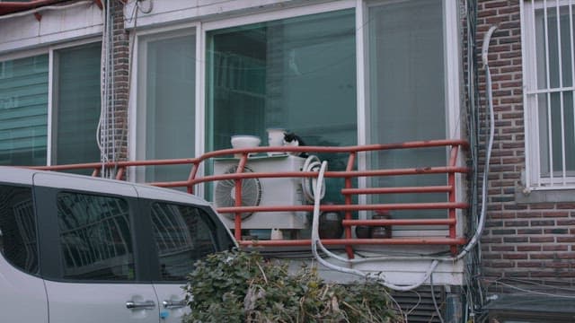 주택가 베란다의 에어컨 실외기 위에서 쉬는 고양이