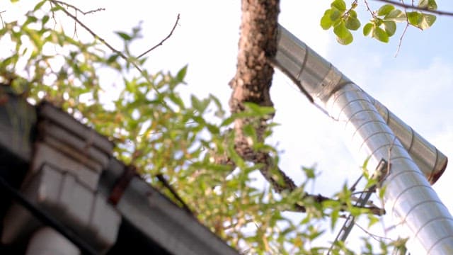 Green leaves and a metal pipe