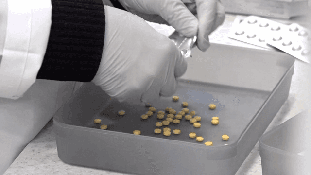 장갑 낀 손이 노란 알약을 다루는 모습