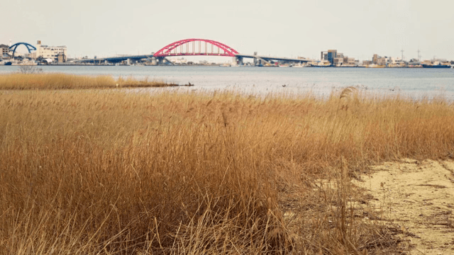 다리와 도시 풍경이 있는 호수