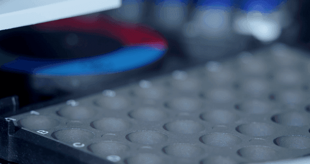 파란 뚜껑이 달린 실험실 바이알 유리 용기 보관함