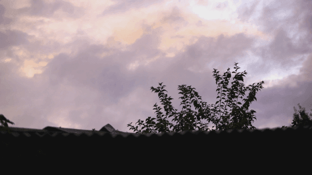 Cloudy sky with trees in the foreground