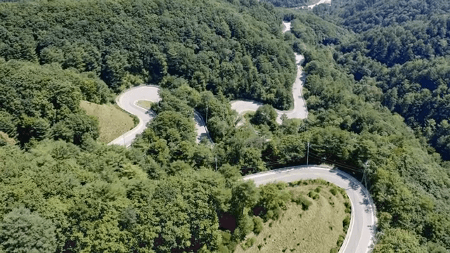 푸른 숲을 가로지르는 구불구불한 도로