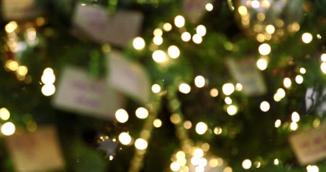 소원 적힌 메모와 조명으로 장식된 트리