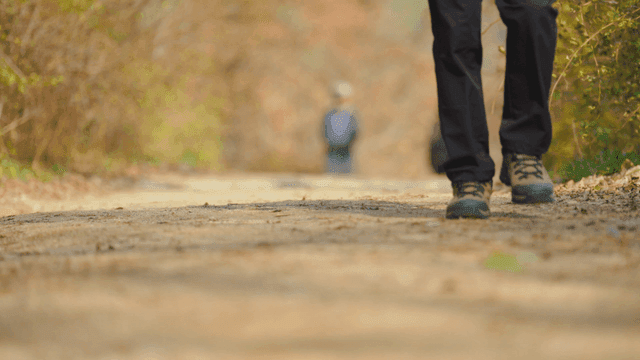 People walking on a forest trail